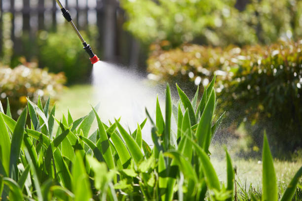 24/7 Emergency Mosquito Control experts in Bonita Springs, FL
